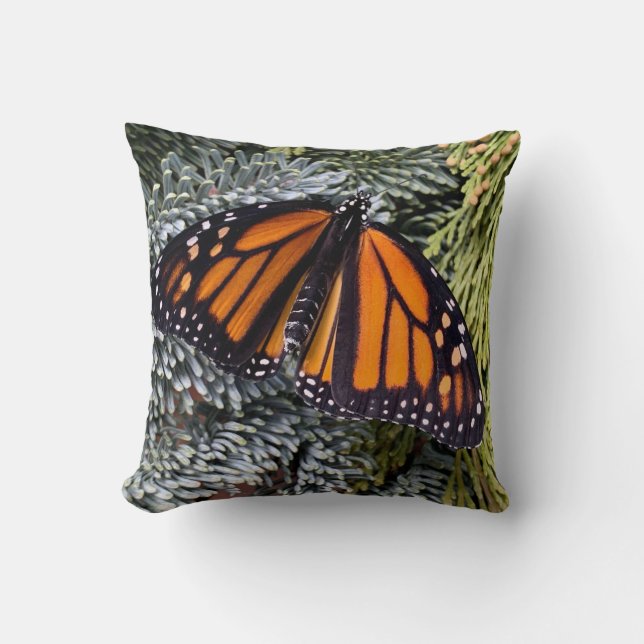 Monarch butterfly på evergreens kudde (Framsida)