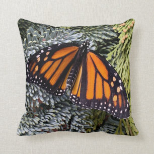 Monarch butterfly på evergreens kudde