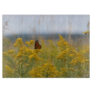 Monarch Butterfly på Goldenrod