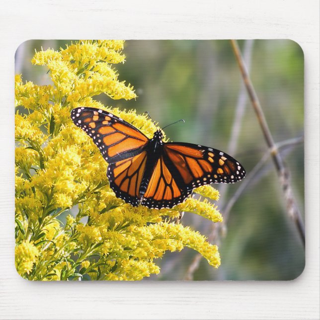 Monarch Butterfly på Goldenrod Mousepad Musmatta (Framsidan)