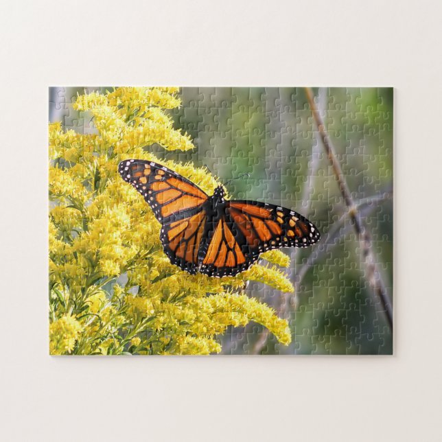 Monarch Butterfly på Goldenrod Puzzle Pussel (Horisontell)