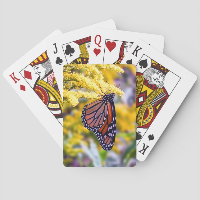 Monarch Butterfly på Goldenrod-uppspelningskort Kortlek (Baksidan)