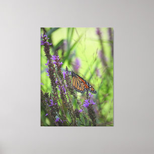 Monarch Butterfly på Lila blommor mot Grönt Canvastryck