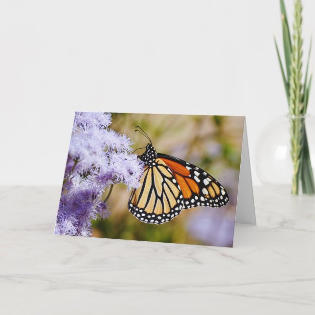 Monarch Butterfly på Lila blommor Note Card Kort (Framsida)