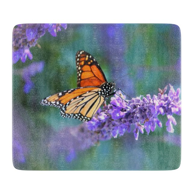 Monarch Butterfly på Lila lilac Flower (Framsidan)