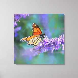 Monarch Butterfly på Lila lilac Flower Canvastryck