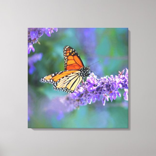Monarch Butterfly på Lila lilac Flower Canvastryck (Framsida)