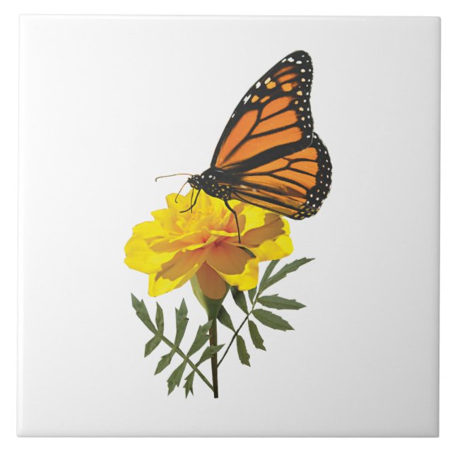 Monarch Butterfly på Marigold Kakelplatta (Framsidan)
