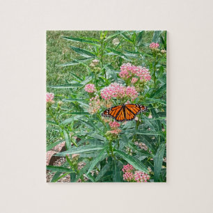 Monarch Butterfly på Milkweed Pussel