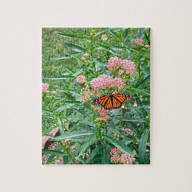 Monarch Butterfly på Milkweed Pussel (Vertikal)