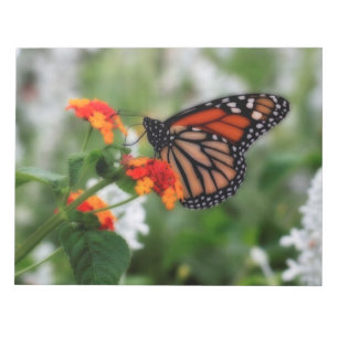Monarch Butterfly på Orange och Red Lantana Anteckningsblock