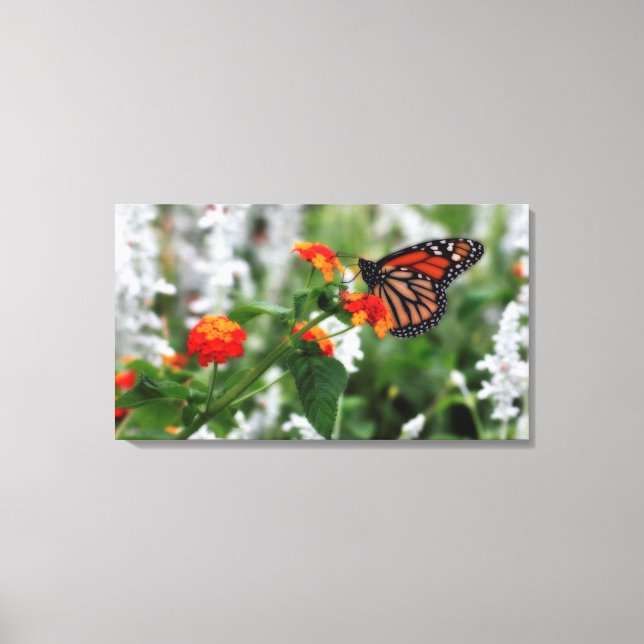 Monarch Butterfly på Orange och Red Lantana Canvastryck (Framsida)