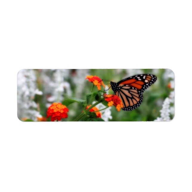 Monarch Butterfly på Orange och Red Lantana Returadress Etikett (Framsidan)