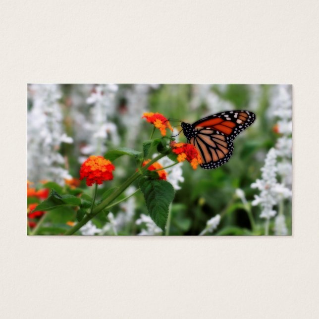 Monarch Butterfly på Orange och Red Lantana Visitkort (Framsidan)