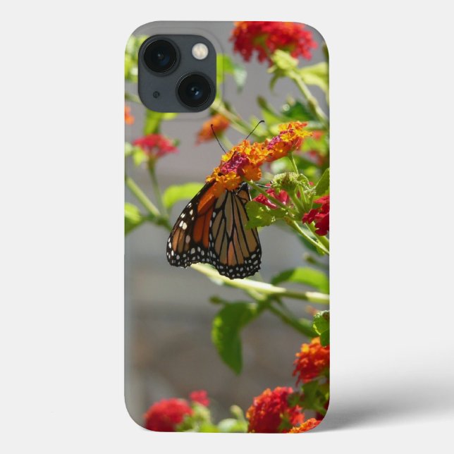 Monarch Butterfly på Red Butterfly Bush (Baksida)