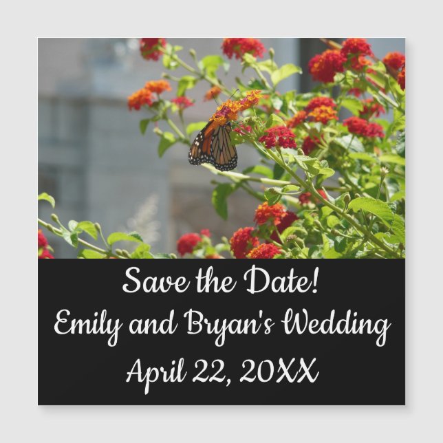 Monarch Butterfly på Red Butterfly Bush (Framsida)