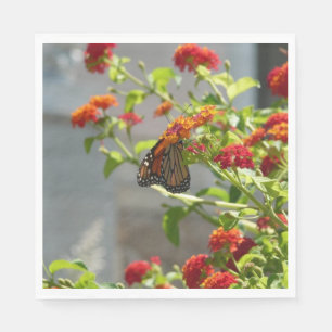 Monarch Butterfly på Red Butterfly Bush Pappersservett