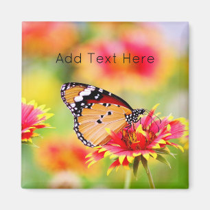 Monarch Butterfly på röd och Gult Flower Magnet