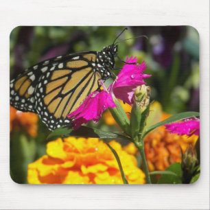 Monarch butterfly på rosa marigold moussepad musmatta