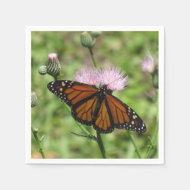 Monarch Butterfly på Rosa Thistle Napkins Pappersservett (Framsidan)
