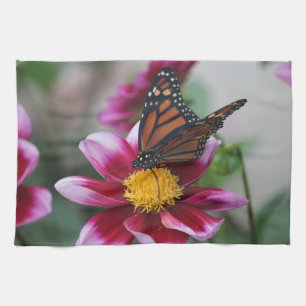 Monarch Butterfly på Shock rosa Dahlia Flower Phot Kökshandduk