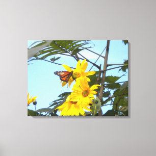 Monarch Butterfly på solrosförpackad canvas