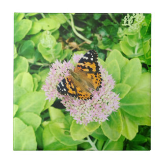 Monarch Butterfly på Stonecrop Flowers Kakelplatta
