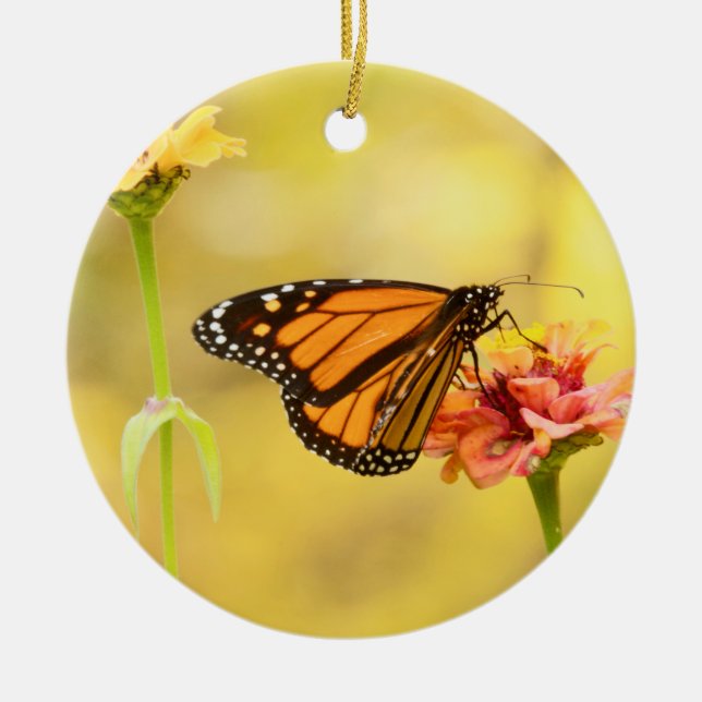 Monarch Butterfly på Zinnia Julgransprydnad Keramik (Framsidan)