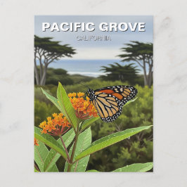 Monarch Butterfly Pacific Grove California Travel Vykort
