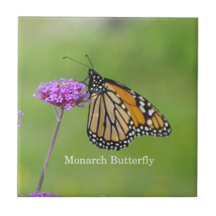 Monarch Butterfly-panel Kakelplatta