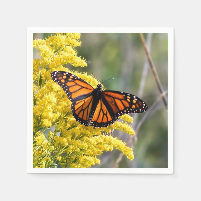 Monarch Butterfly Pappersservett (Framsidan)