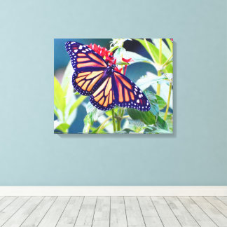 Monarch Butterfly Photography Wall decor Canvas