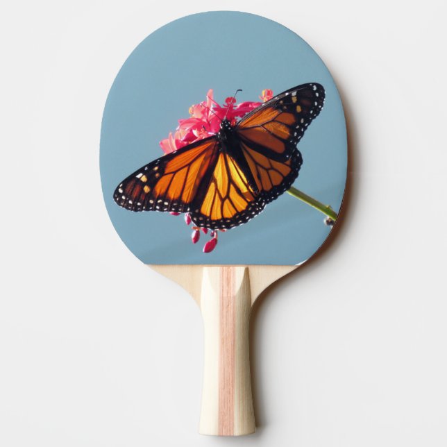 Monarch Butterfly - Ping Pong Paddle Pingisracket (Baksidan)