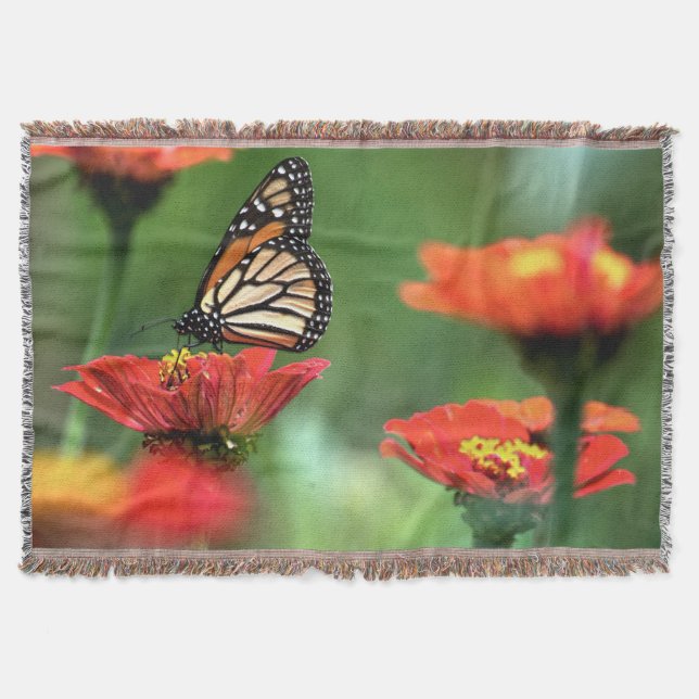 Monarch Butterfly Pollution Filt (Framsidan)