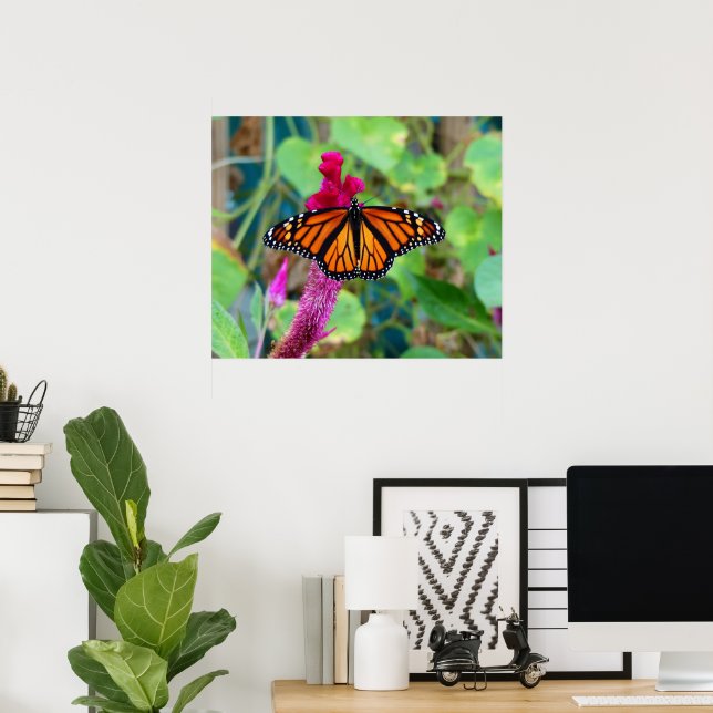 Monarch Butterfly Poster (Hemmakontoret)
