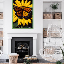 Monarch Butterfly