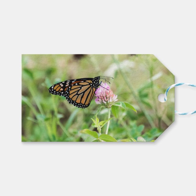 Monarch Butterfly Presentetikett (Framsidan (Horisontell))