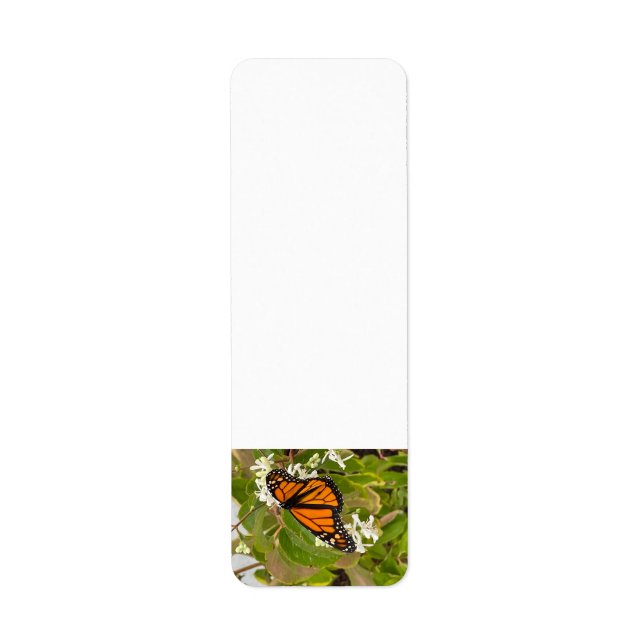 Monarch Butterfly Returadress Etikett (Framsidan)