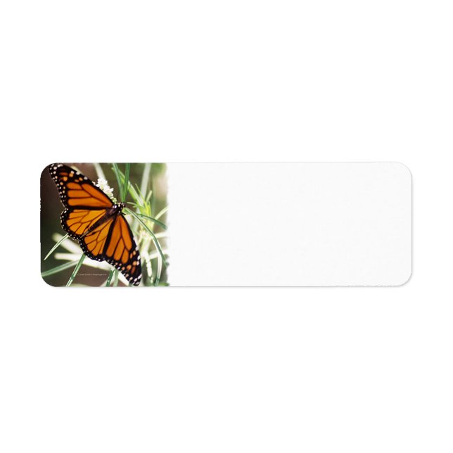 Monarch Butterfly-Returetiketter Returadress Etikett (Framsidan)