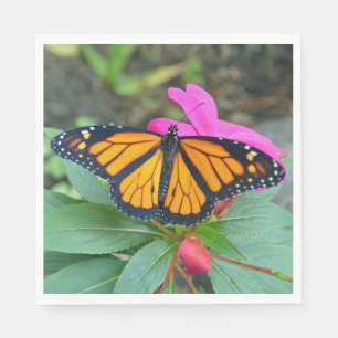 Monarch Butterfly Rosa Blommigt Photo Pappersservett