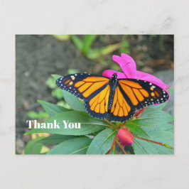 Monarch Butterfly Rosa Blommigt Photo Tack Vykort