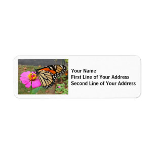 Monarch Butterfly Sipping a Rosa Zinnia Returadress Etikett