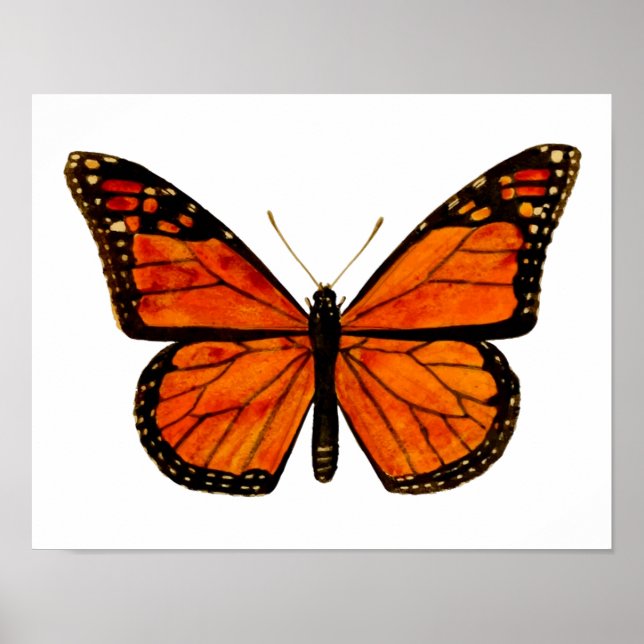 Monarch Butterfly Small Poster (Framsidan)