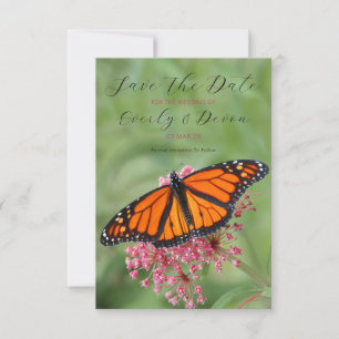 Monarch Butterfly sparar datumet Spara Datumet