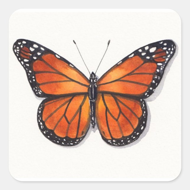 Monarch Butterfly Sticker Fyrkantigt Klistermärke (Framsida)