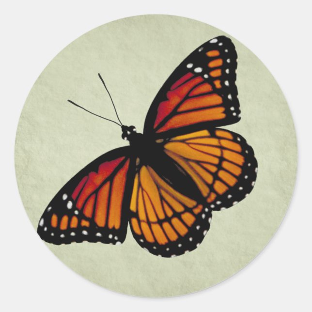 Monarch Butterfly Sticker Runt Klistermärke (Framsida)
