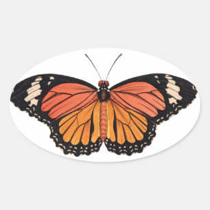 Monarch Butterfly Stickers Ovalt Klistermärke