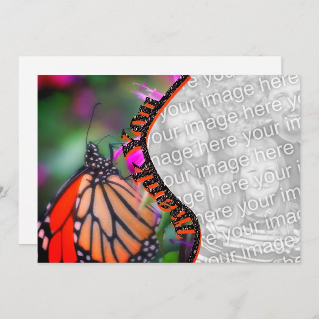 Monarch Butterfly Tack Photo Card (Fram/baksida)