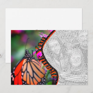 Monarch Butterfly Tack Photo Card Kort