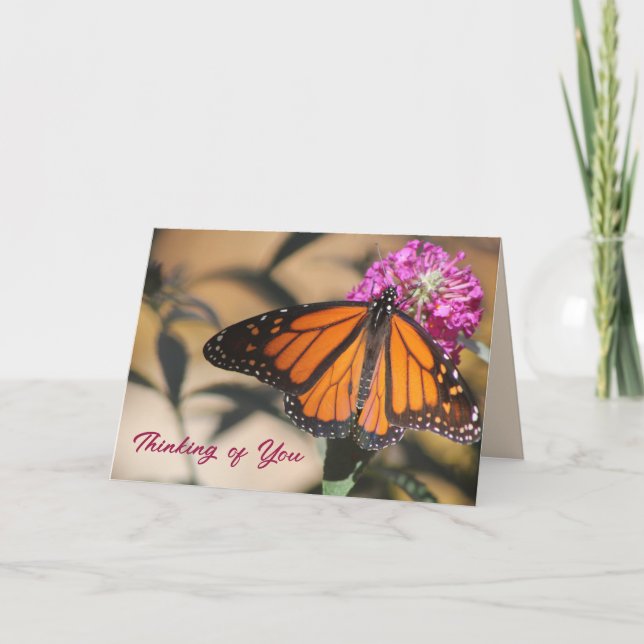 Monarch Butterfly tänker på ditt kort (Framsida)